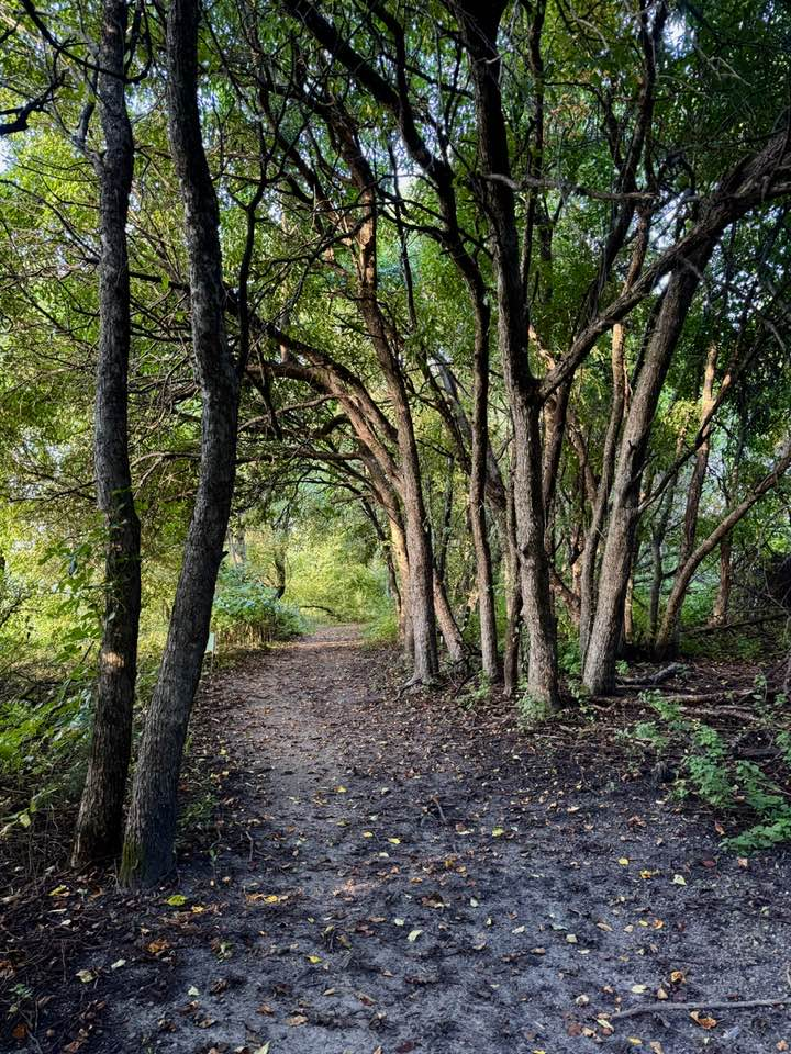 Nature walking trail